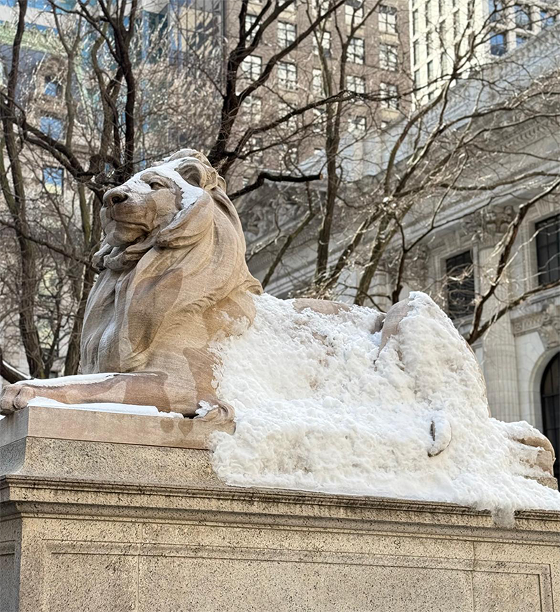 Majestad Blanca