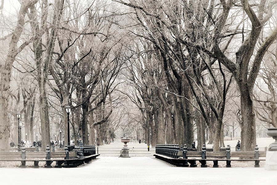 Invierno en New York